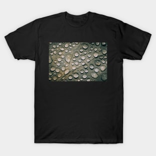 Fallen Rain, Fallen Leaves Photograph T-Shirt